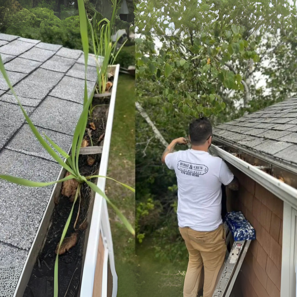 Burke and Crew Gutter Cleaner